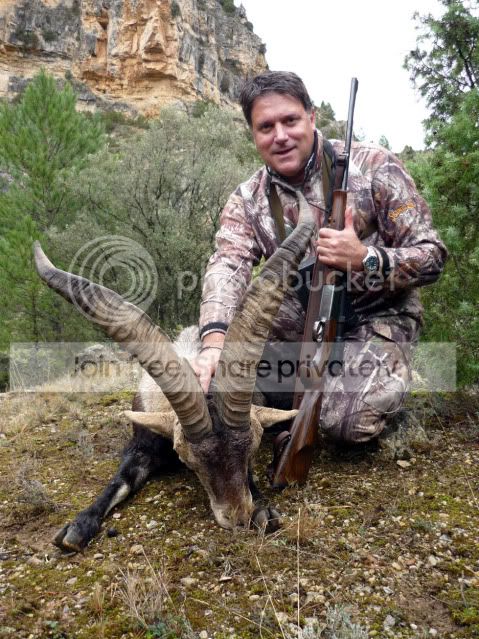 Ibex.jpg