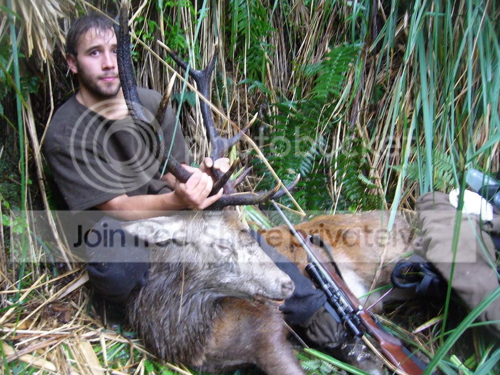 nz091.jpg