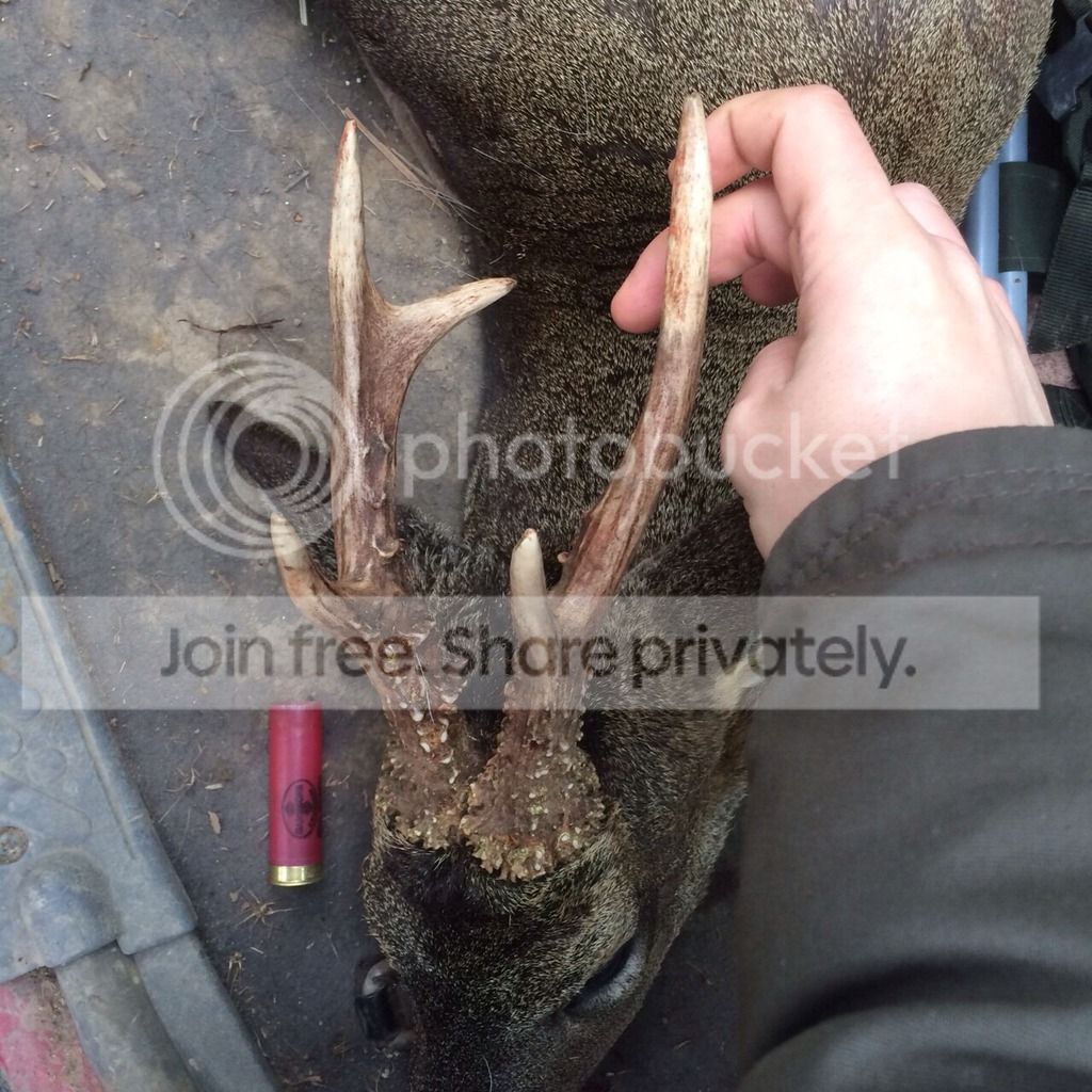 IMG-20150406-WA0001_zps7giexbrp.jpg