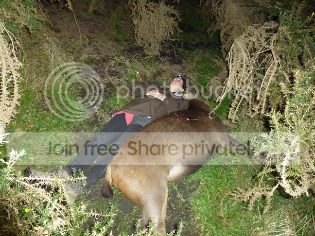 Sambar.jpg