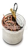 canofworms1.jpg