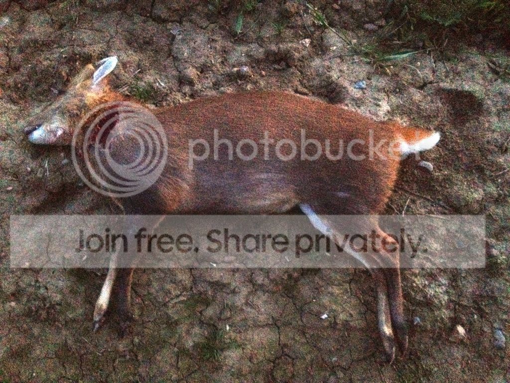 010_zpsvmlkcotd.jpg