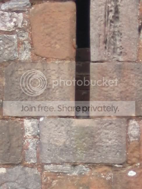 Kestrel1.jpg