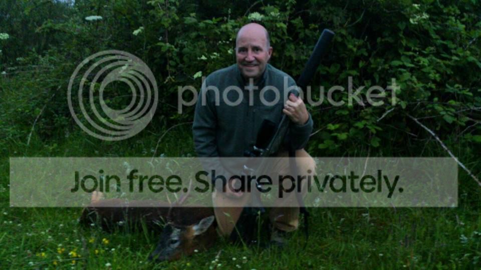 robin_zps438acd77.jpg