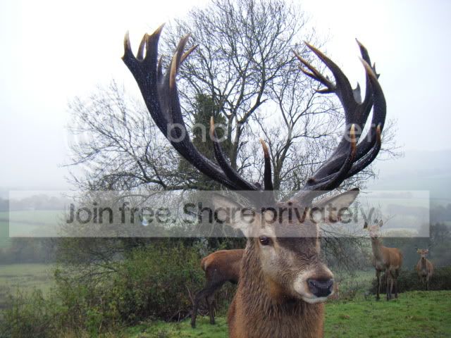 DSCF3032.jpg